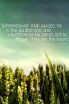 Allah guides