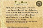 Hadith: Jannah for the believer