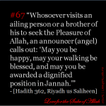 Hadith: Visiting a brother