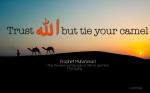 Hadith: Tie your camel